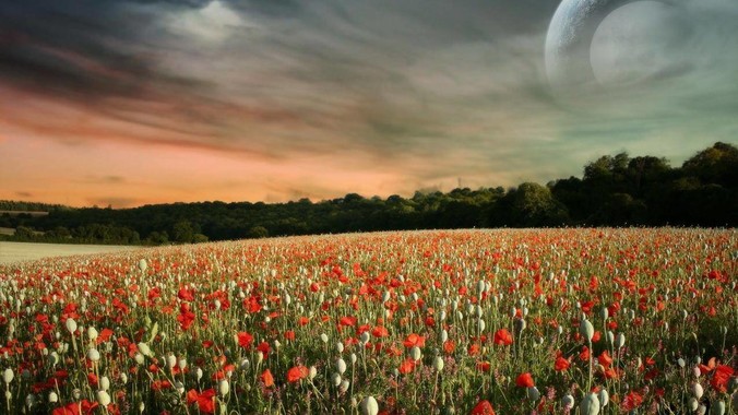 孩子画过什么画让你非常震惊？